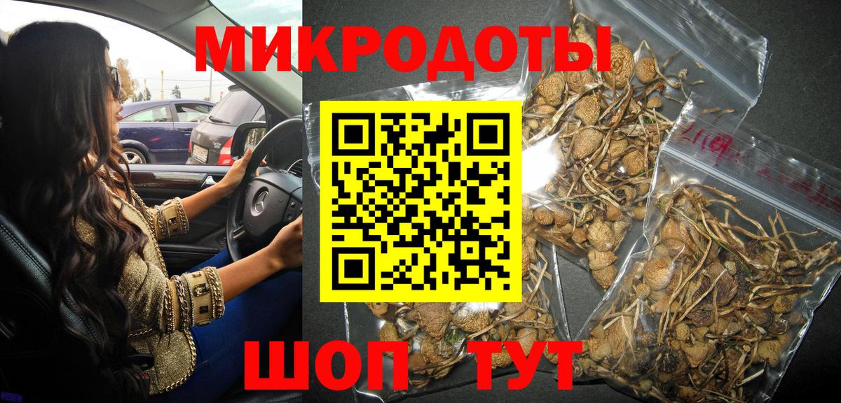 Галлюциногенные грибы Psilocybe Ковров
