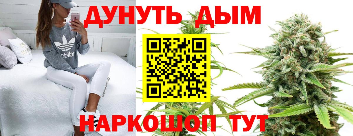 Бошки марихуана планчик  МАРИХУАНА MAZAR  Конопля конопля  Вход с VPN  Ковров 